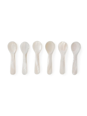 Blue Pheasant Cora Shell Mini Spoons (set Of 6)