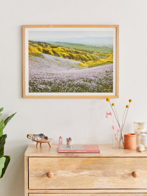 Kevin Russ California Wildflowers Art Print