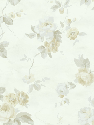 Watercolor Trail Wallpaper In Cream And Green From The Watercolor Florals Collection By Mayflower Wallpaper