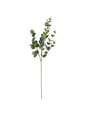 Vickerman 37" Artificial Green Eucalyptus Spray.