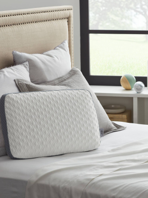 Standard Memory Foam Bed Pillow - Sealy