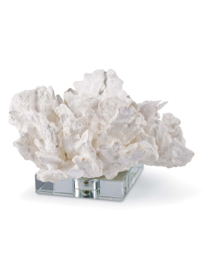 Flower Coral On Crystal Base In White