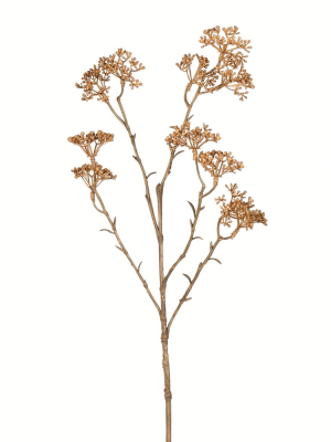 Vickerman 25" Artificial Beige Patrinia Spray.