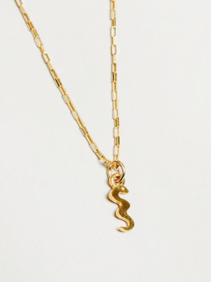 Snake Charm Necklace