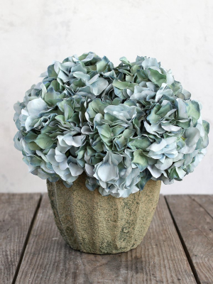 Shabby Chic Forever Florals - Sea Breeze