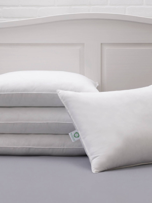 4pk Hypoallergenic Allergen Barrier Bed Pillow - Allied Home