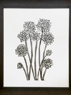"chrysanthemum" Linocut In Vintage Frame