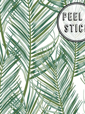 Palm Peel And Stick Wallpaper In White And Green From The Transform Collection By Graham & Brown