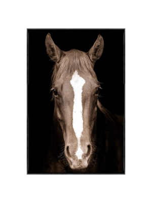 Brown Horse Framed