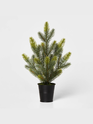 Small Greenery Christmas Tree In Black Bucket Decorative Figurine Green - Wondershop™